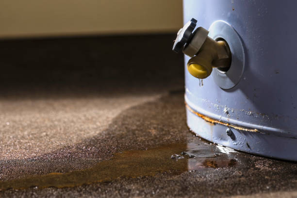 Best Water damage cleanup near me  in Los Altos Hills, CA