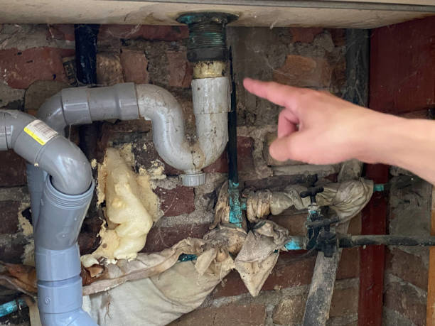 Best Carpet water damage restoration  in Los Altos Hills, CA