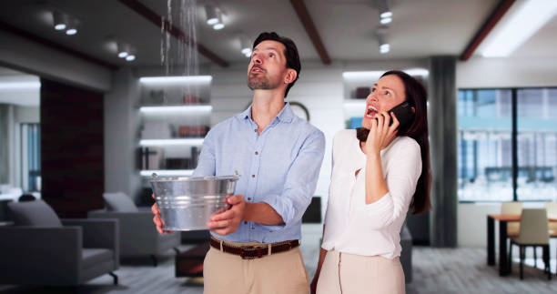 Best Water damage restoration near me  in Los Altos Hills, CA
